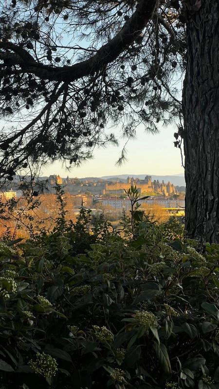 Maison - 427 m² - 11 pièces