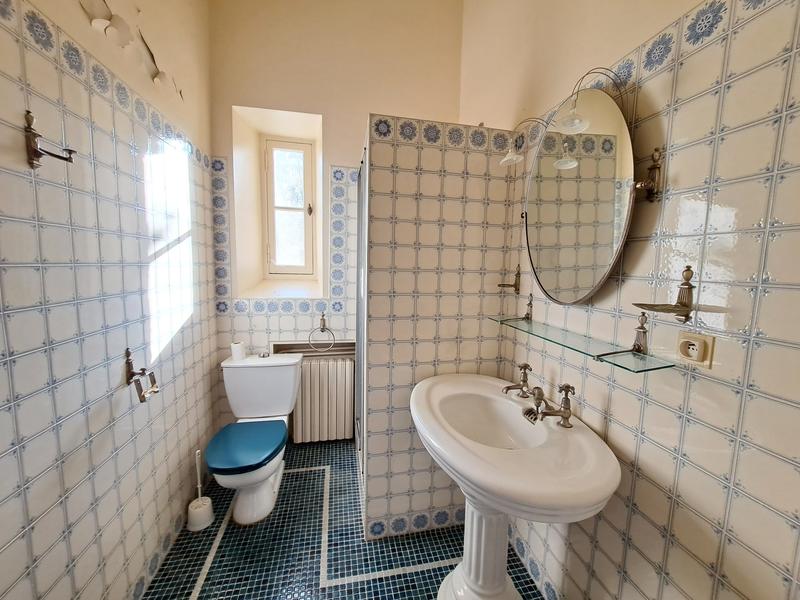 Château - 570 m² - 12 pièces