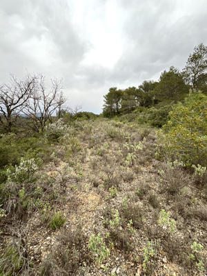 Terrain agricole - 9 590 m²