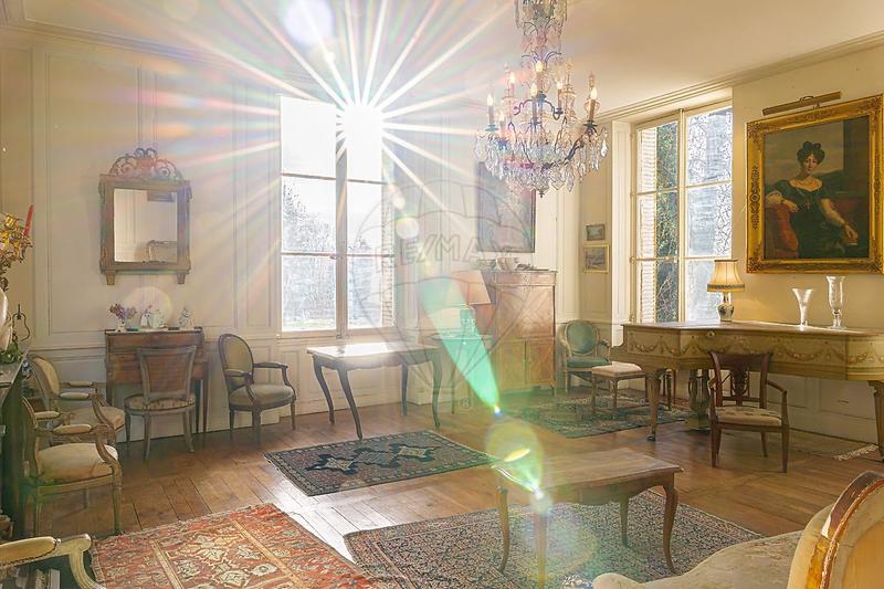 Château - 400 m² - 13 pièces