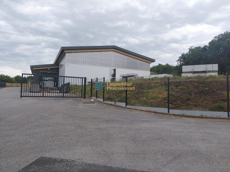 Local d'activités - 470 m²