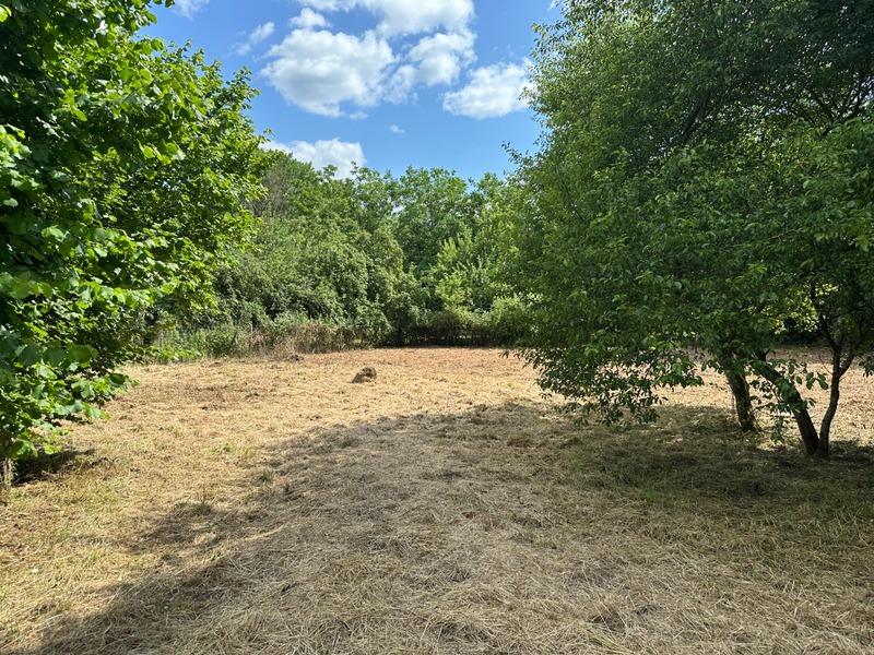 Terrain constructible - 1 717 m²