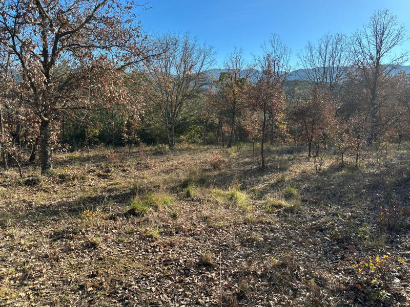 Terrain de loisirs - 10 100 m²