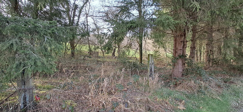 Terrain de loisirs - 978 m²