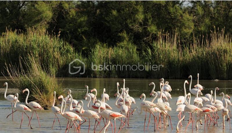 Maison de ville - 78 m² - 5 pièces