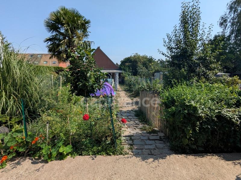 Maison - 66 m² - 3 pièces