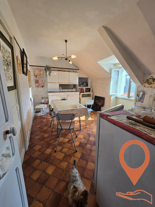 Viager - Maison - 250 m² - 10 pièces