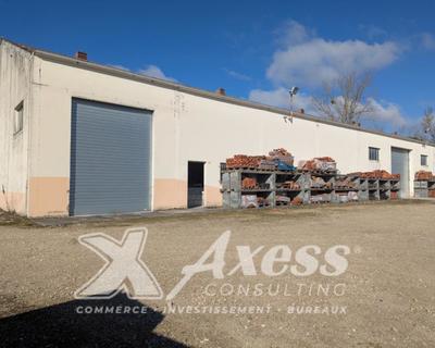 Local d'activité / Entrepôt - 490 m²