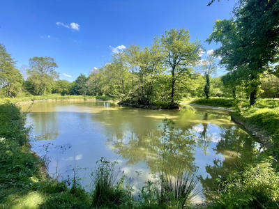 Terrain de loisirs - 44 170 m²