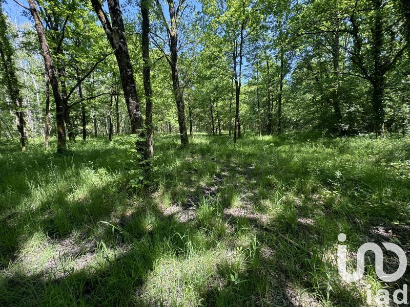 Terrain - 10 000 m²