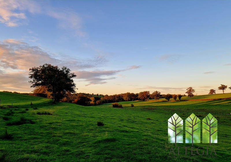 Maison - 220 m² - 7 pièces