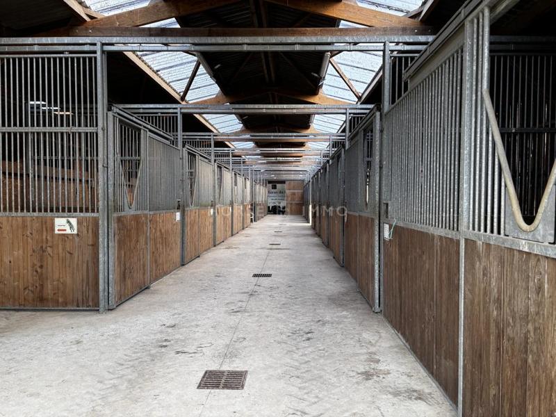 Haras - 418 m² - 12 pièces