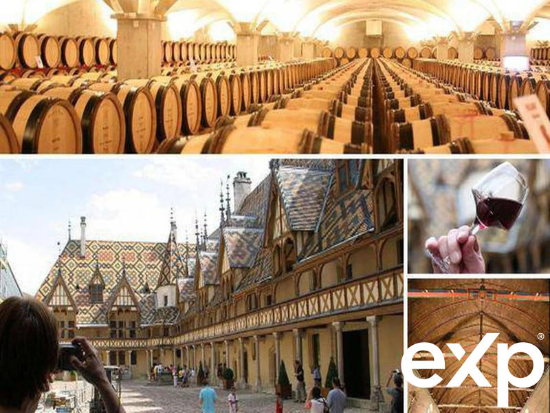 Viager - Maison - 68 m² - 3 pièces