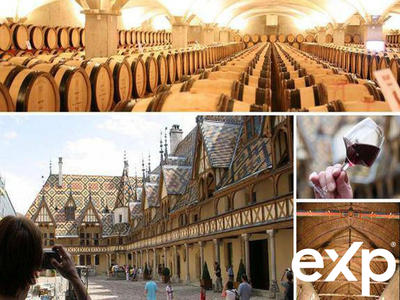 Viager - Maison - 68 m² - 3 pièces