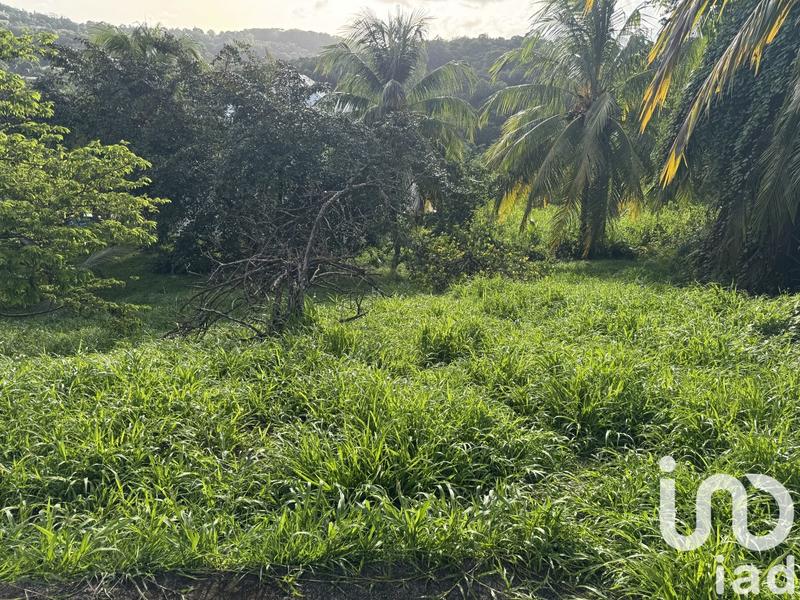 Maison - 442 m² - 12 pièces