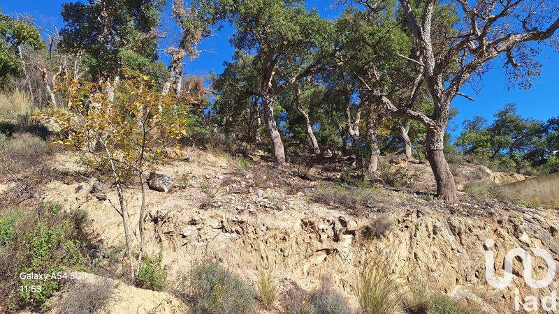 Terrain - 18 305 m²