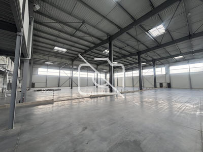 Entrepôt - 3 428 m²