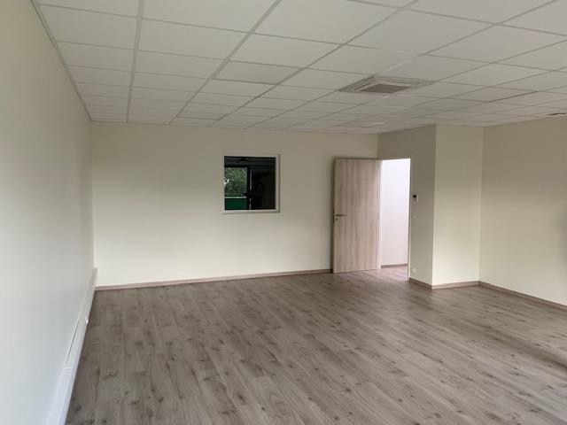 Entrepôt - 295 m² - 4 pièces
