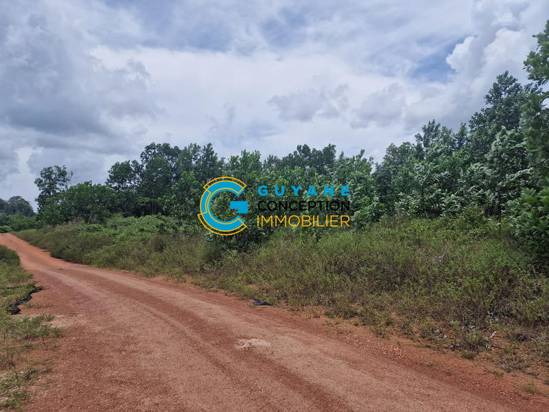 Terrain agricole - 5 000 m²