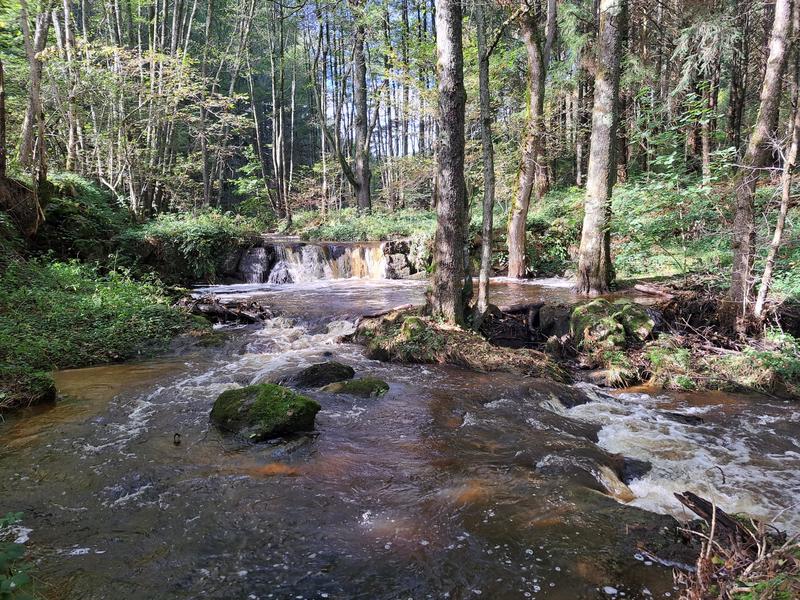 Maison - 367 m² - 11 pièces