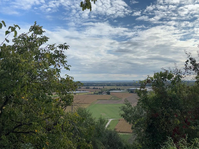 Propriété - 126 m² - 6 pièces