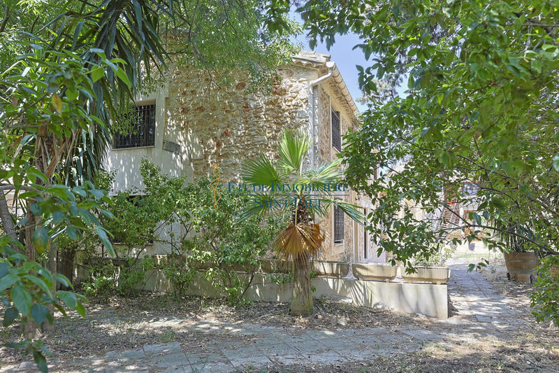 Maison ancienne - 240 m² - 6 pièces