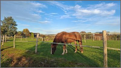 Ferme - 140 m² - 5 pièces