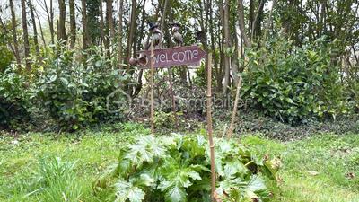 Terrain de loisirs - 96 594 m²