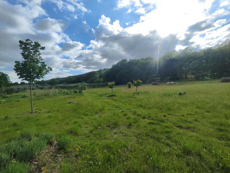 Maison de village - 123 m² - 5 pièces