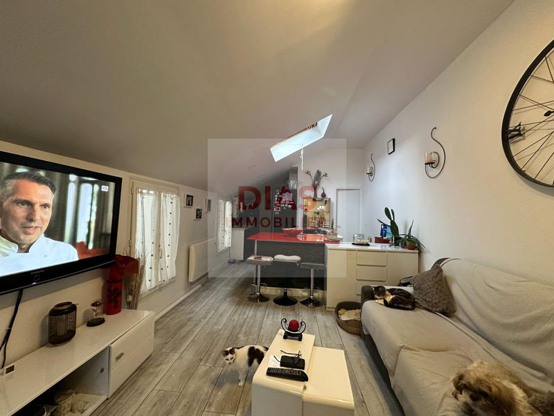 Appartement - 50 m² - 1 pièce