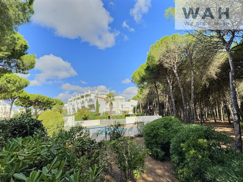 Appartement - 21 m² - 1 pièce