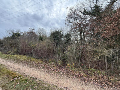 Terrain de loisirs - 1 682 m²