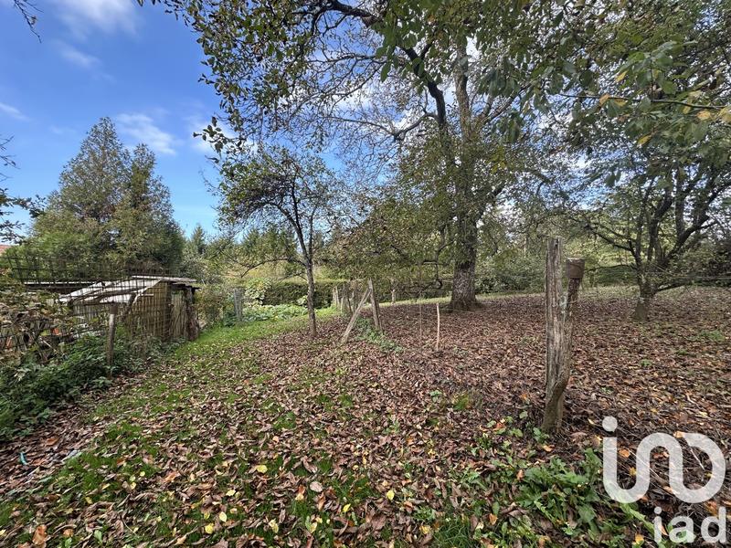 Ferme - 70 m² - 3 pièces