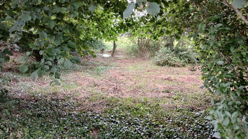 Moulin - 200 m² - 6 pièces