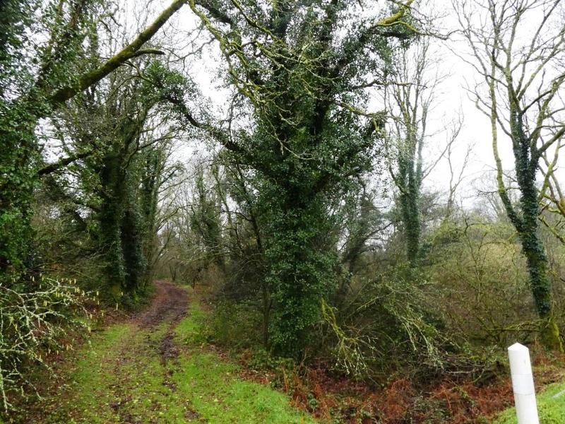 Terrain agricole - 13 922 m²