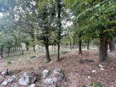 Terrain inconstructible - 1 827 m²