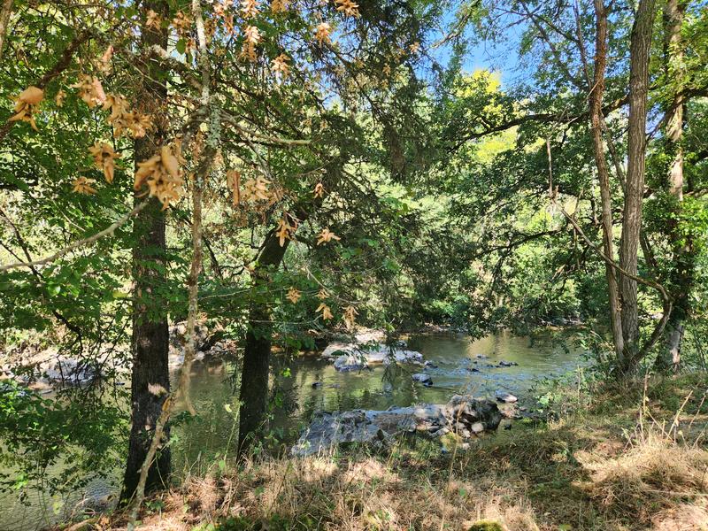 Propriété - 250 m² - 8 pièces