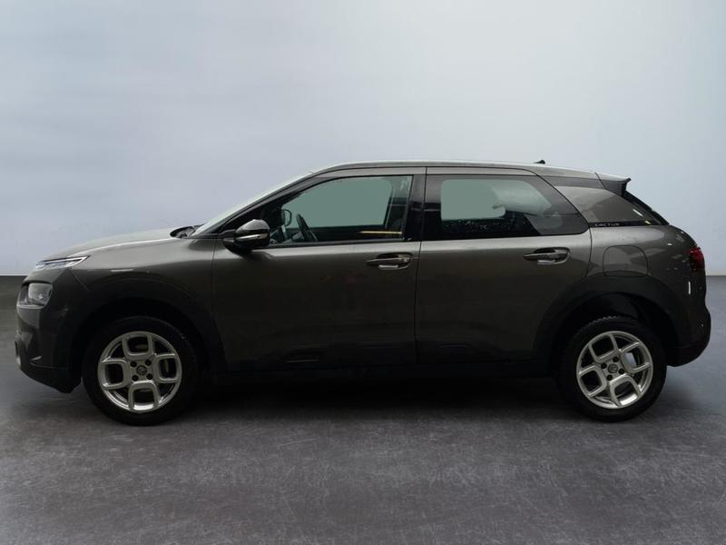 Citroën C4 Cactus Business BlueHDi 100 s&amp;S Bvm6 Feel