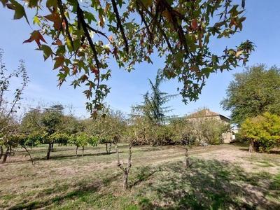 Maison de campagne - 260 m² - 7 pièces