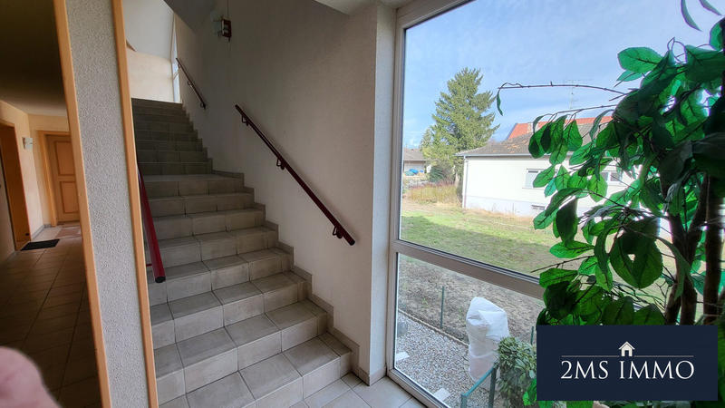 Appartement - 55 m² - 3 pièces