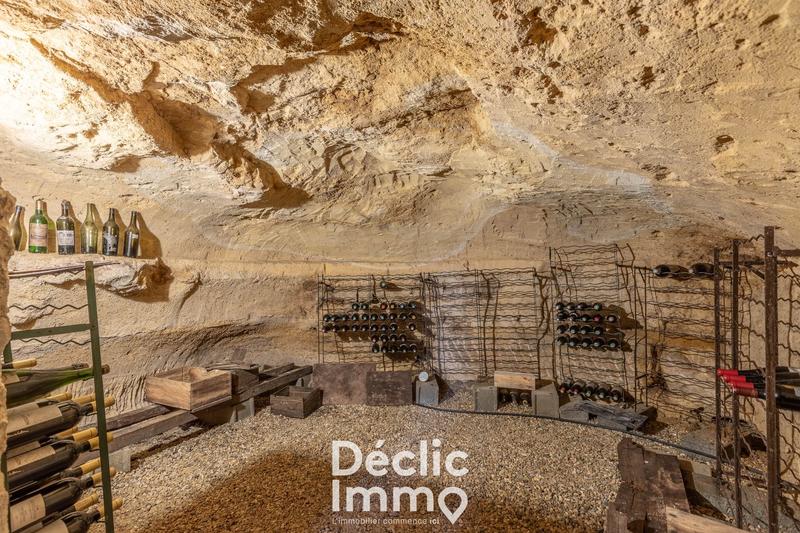 Maison - 484 m² - 17 pièces