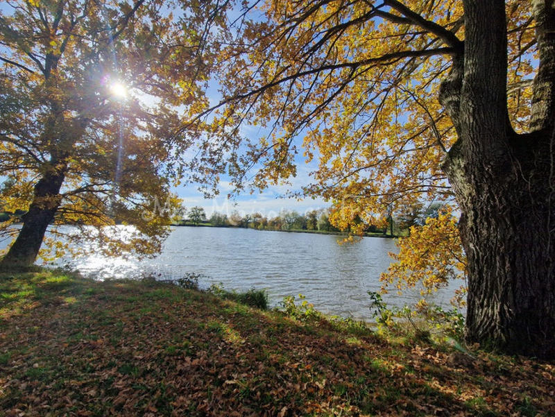 Moulin - 166 m² - 1 pièce