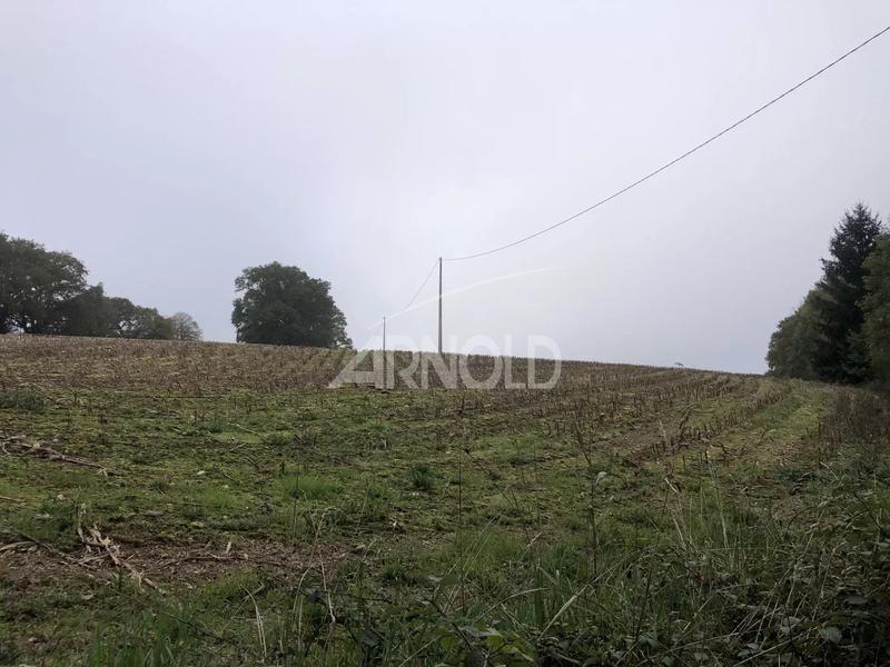 Moulin - 250 m² - 5 pièces