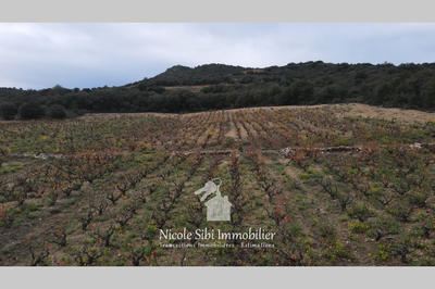 Terrain agricole - 29 300 m²