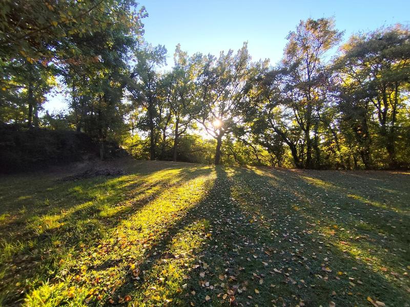 Terrain agricole - 219 900 m²