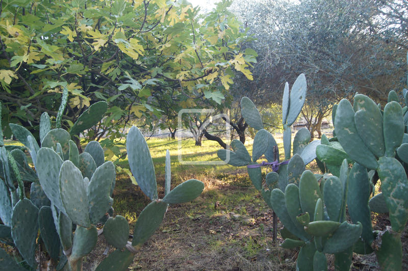 Terrain agricole - 5 359 m²