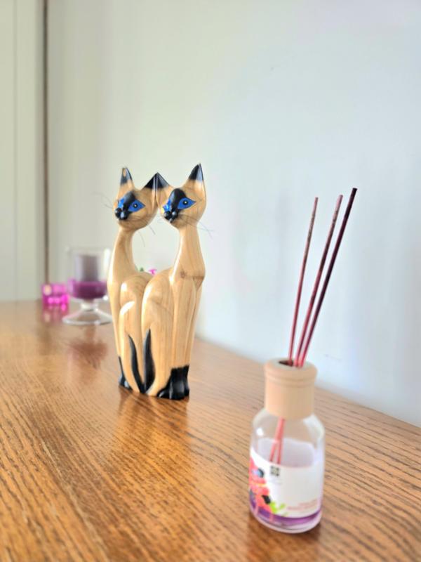 Maison contemporaine - 127 m² - 6 pièces