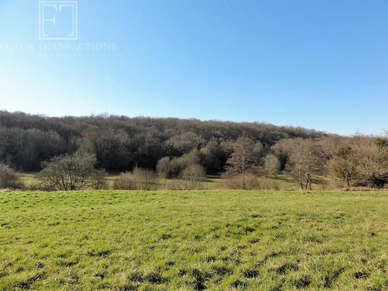 Propriété - 300 m² - 10 pièces