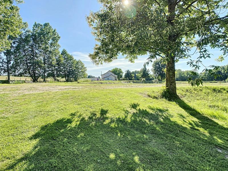 Viager - Maison ancienne - 155 m² - 5 pièces