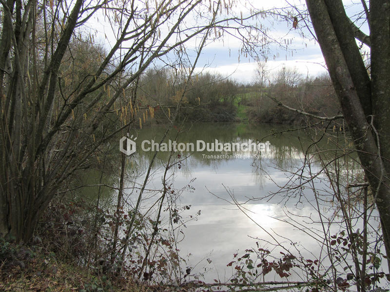 Terrain de loisirs - 17 000 m²